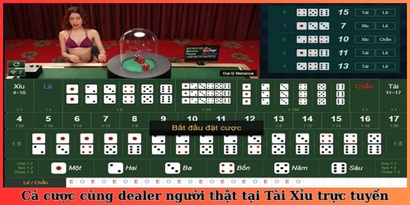 Cá cược cùng dealer người thật tại Tài Xỉu trực tuyến