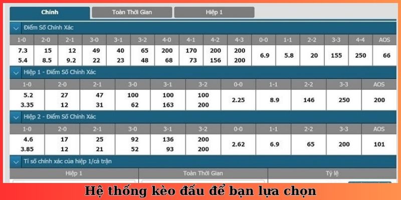 Hệ thống kèo đấu để bạn lựa chọn