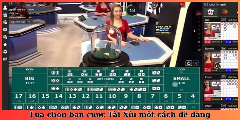 Lựa chọn bạn cược Tài Xỉu một cách dễ dàng
