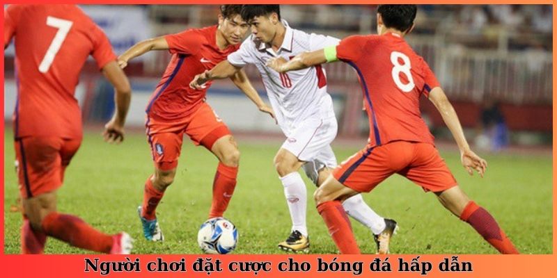 Người chơi đặt cược cho bóng đá hấp dẫn