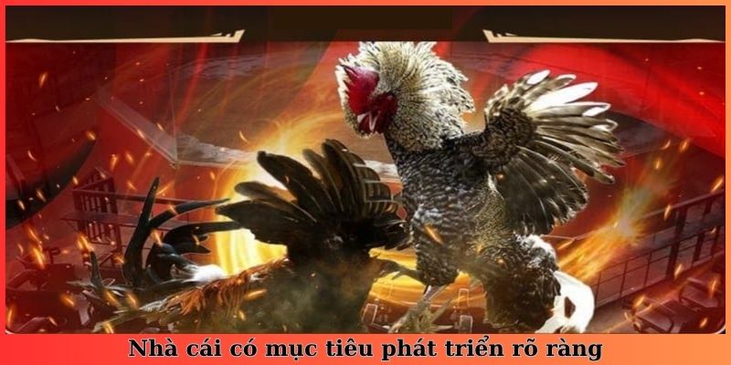 Nhà cái có mục tiêu phát triển rõ ràng