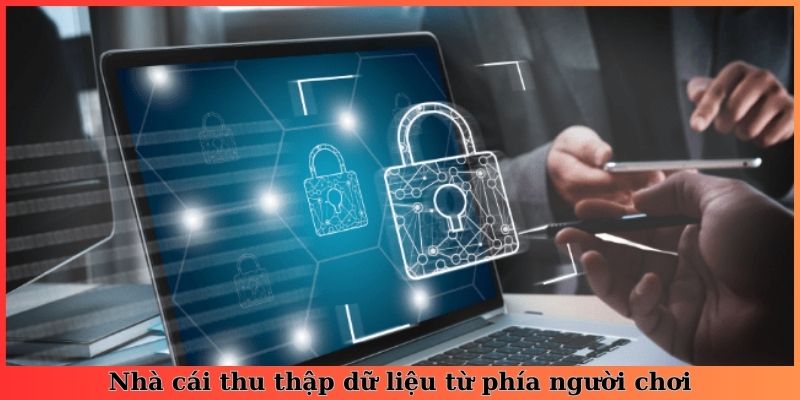 Nhà cái thu thập dữ liệu từ phía người chơi