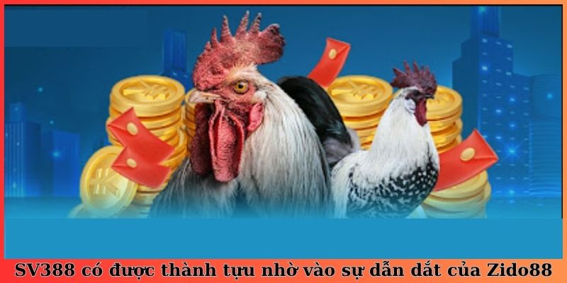 SV388 có được thành tựu nhờ vào sự dẫn dắt của Zido88